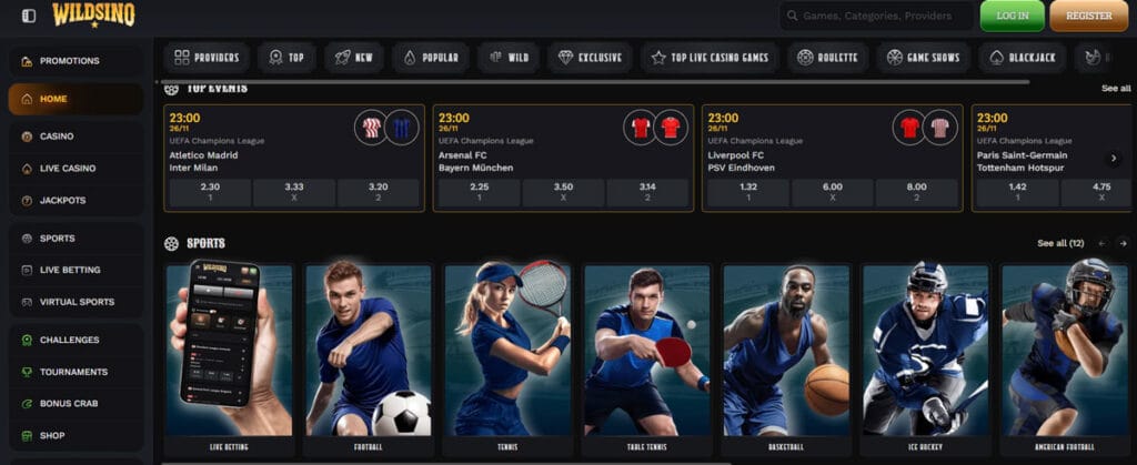 Wildsino Website Usability